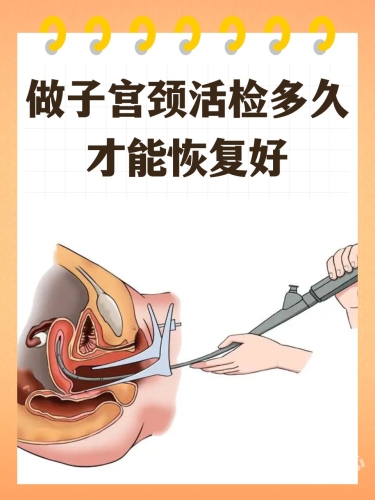 女同自慰免费在线麻豆一区二区女性自我关爱，探索健康自慰的积极影响