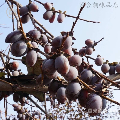 精品无码国产av一区二区精品无码国产AV一区二区，探索优质内容的新篇章