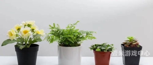 人人草人人干免费超碰人人草人人干免费超碰，探索绿色生态与可持续发展