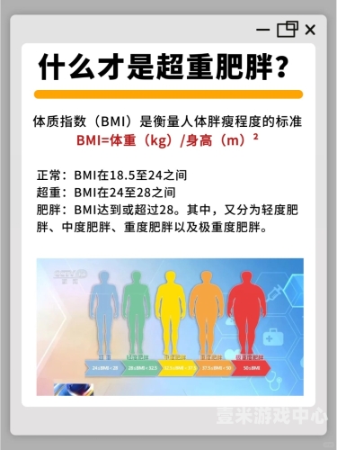 国产精品助力健康减肥，三区减肥攻略揭秘