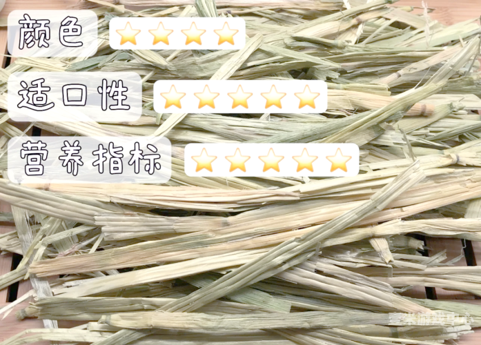 国产欧美亚洲精品第1页青草国产精品闪耀欧美亚洲—探寻中国文化的多元魅力
