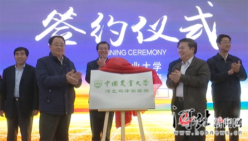 2021国产综合网，全面解析中国新闻资讯国产综合症