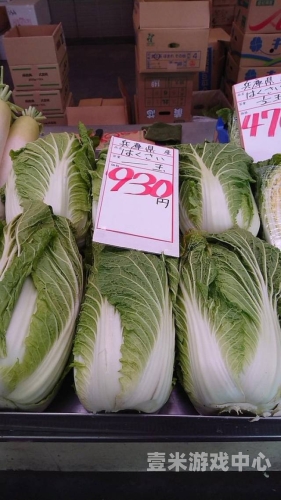 b5888博一把白菜论，新闻资讯网站角色设定与文章内容999策略白菜手机论坛