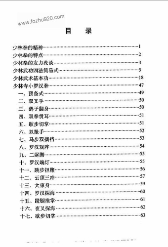 丹武双圣，揭秘武当派与少林寺的武术传奇