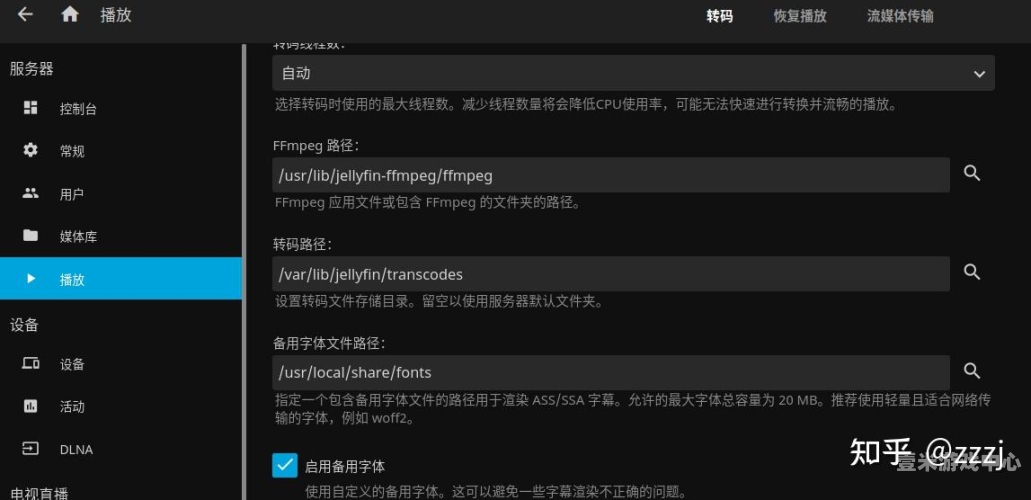 中文字幕乱偷加乱码中文字幕乱加乱码现象解析，原因、影响与解决方案