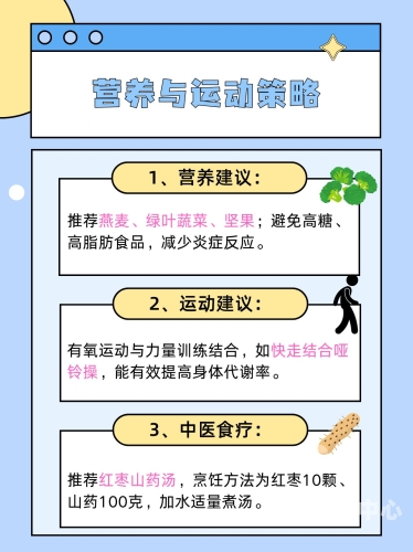 日本人妻专区一区二区三区，深入解析日本家庭主妇的生活与文化
