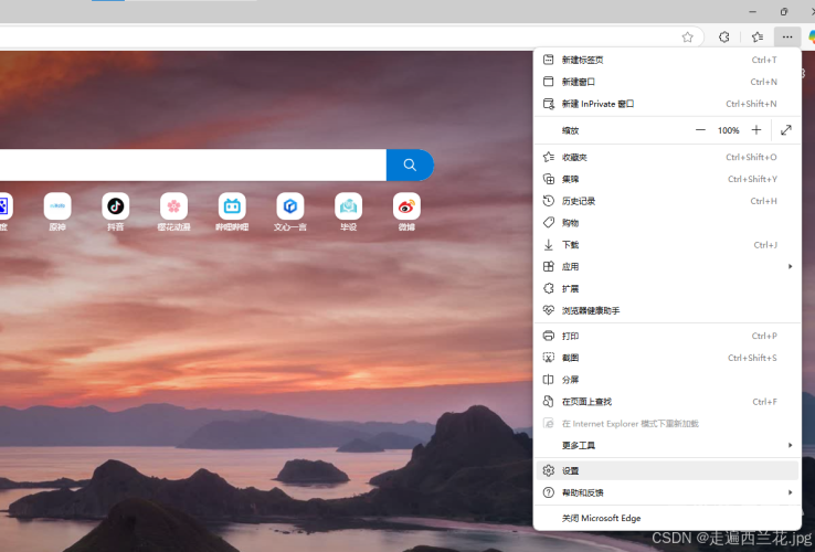 探索全球视野下的浏览器，从Chrome到Firefox再到Microsoft Edge外国网站的浏览器下载