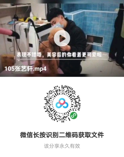 全面解析最新版本，探索技术进步的脚步与未来趋势最新版本微信