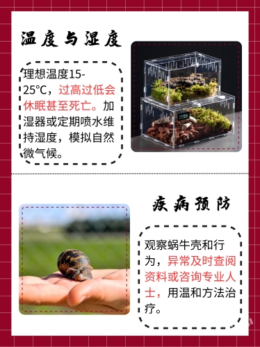 最囧游戏1，探索无尽的欢乐与挑战