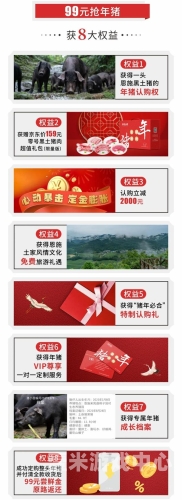 久久综合给合久久狠狠狠88久久综合给合久久狠狠狠88，深度解析其背后的文化现象与网络流行趋势