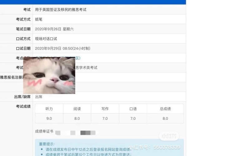 文章正文