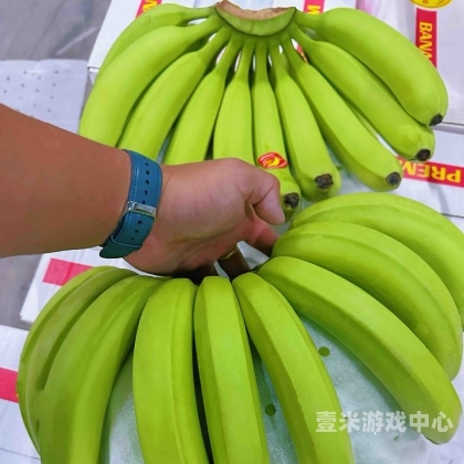 香蕉久久99综合一区二区三区全面解析，种植、营养与市场前景香蕉久久99综合一区二区三区,久久国产香蕉一区