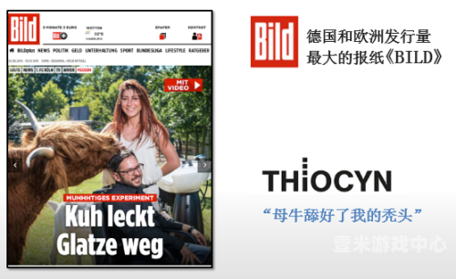 国产成人电影发展现状与市场分析，从边缘到主流的演变之路