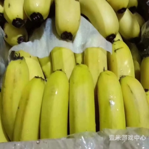 99久久免费精品视香蕉蕉百度搜索，99久久免费精品视香蕉蕉文章
