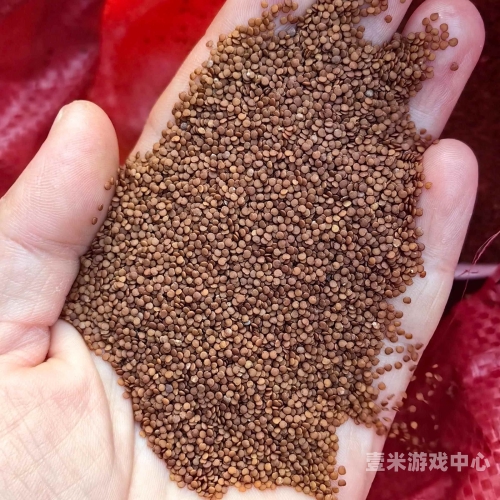 一级免费精品无码网站—新闻资讯的宝藏之地