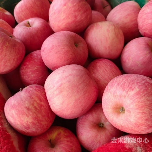 一级免费精品无码网站—新闻资讯的宝藏之地