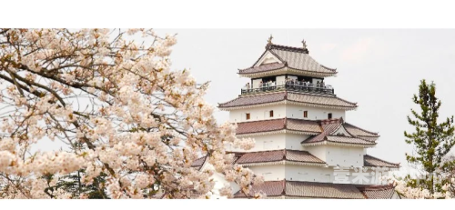 国产日本欧美一区国产日本欧美一区概览