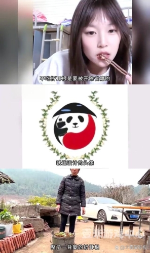 日韩成人影院日韩成人影片热潮，文化交融与市场趋势