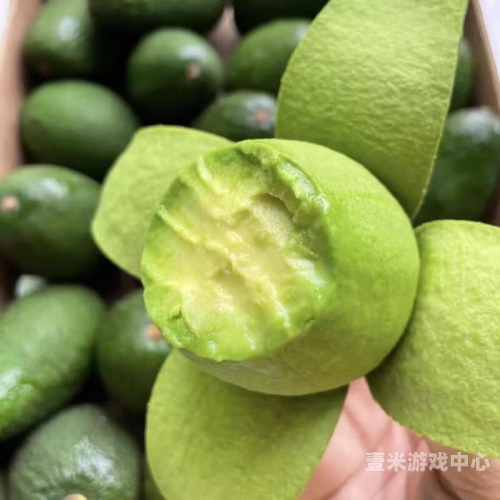 国产一级无码专区，引领行业新风尚