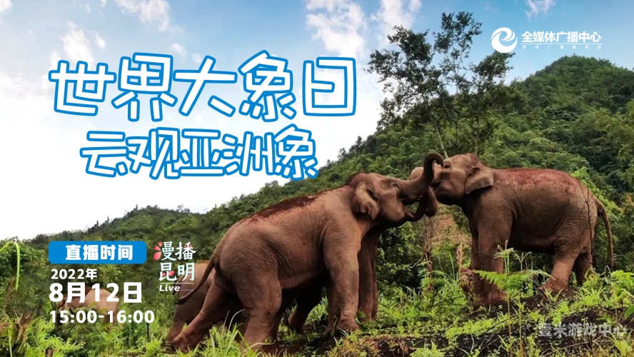 亚洲中文高清香蕉网，探索网络资讯的新疆域亚洲,象